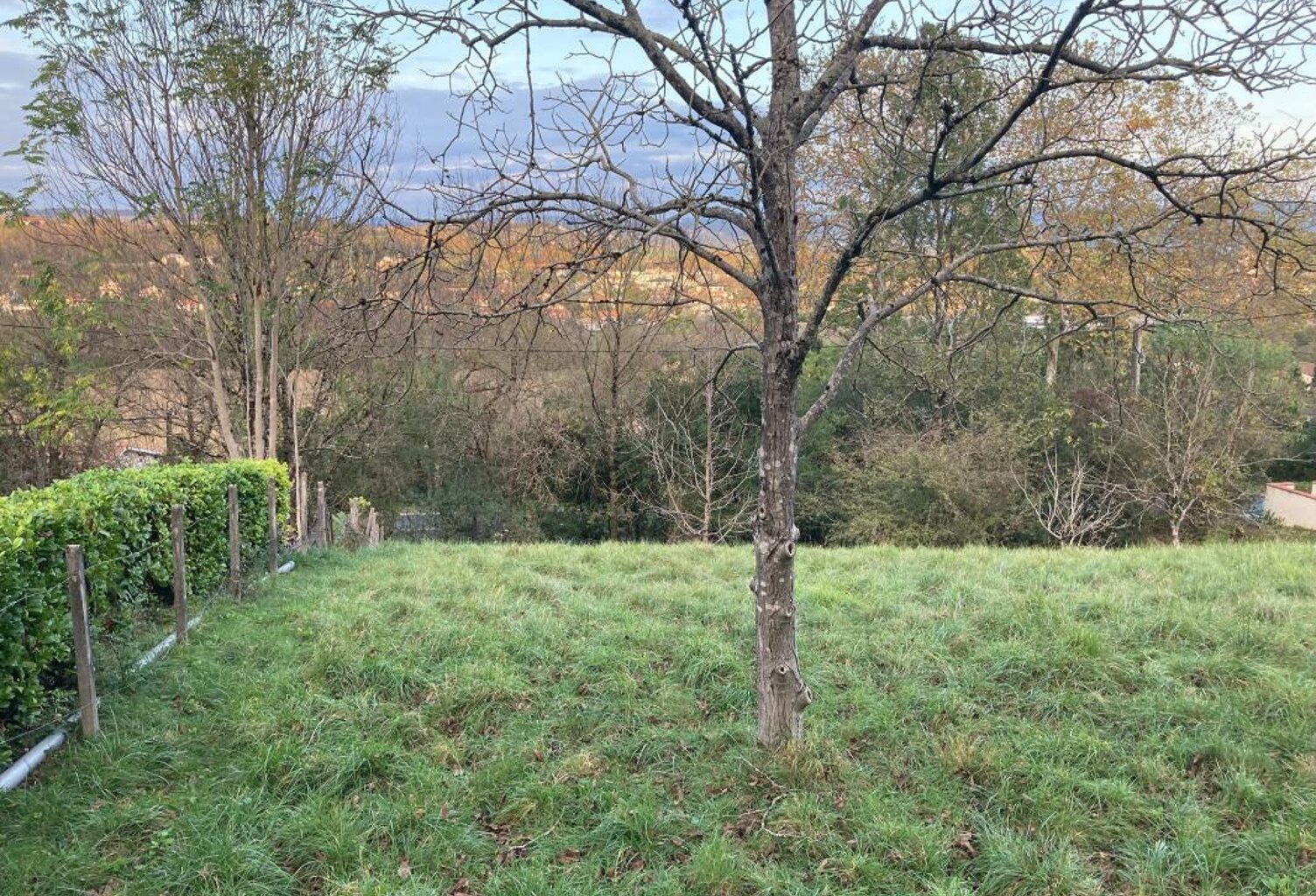 Terrain À Vendre — photo 1