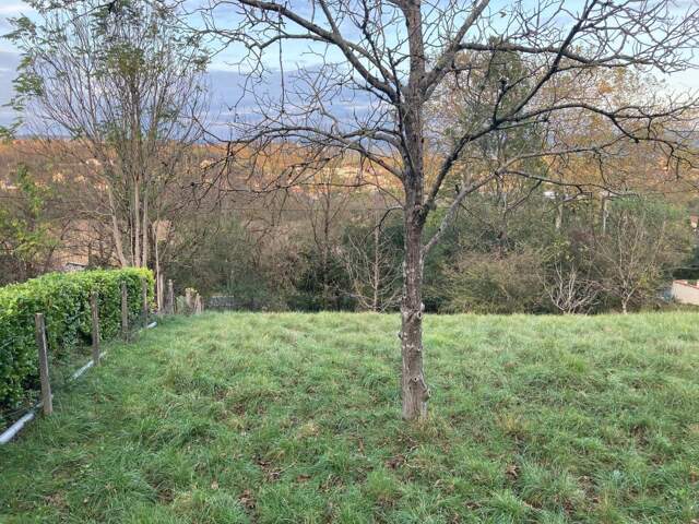 Terrain À Vendre — photo du bien