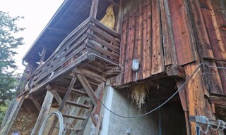 Photo N° 4