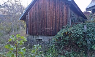 Photo N° 5