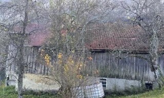 Photo N° 8