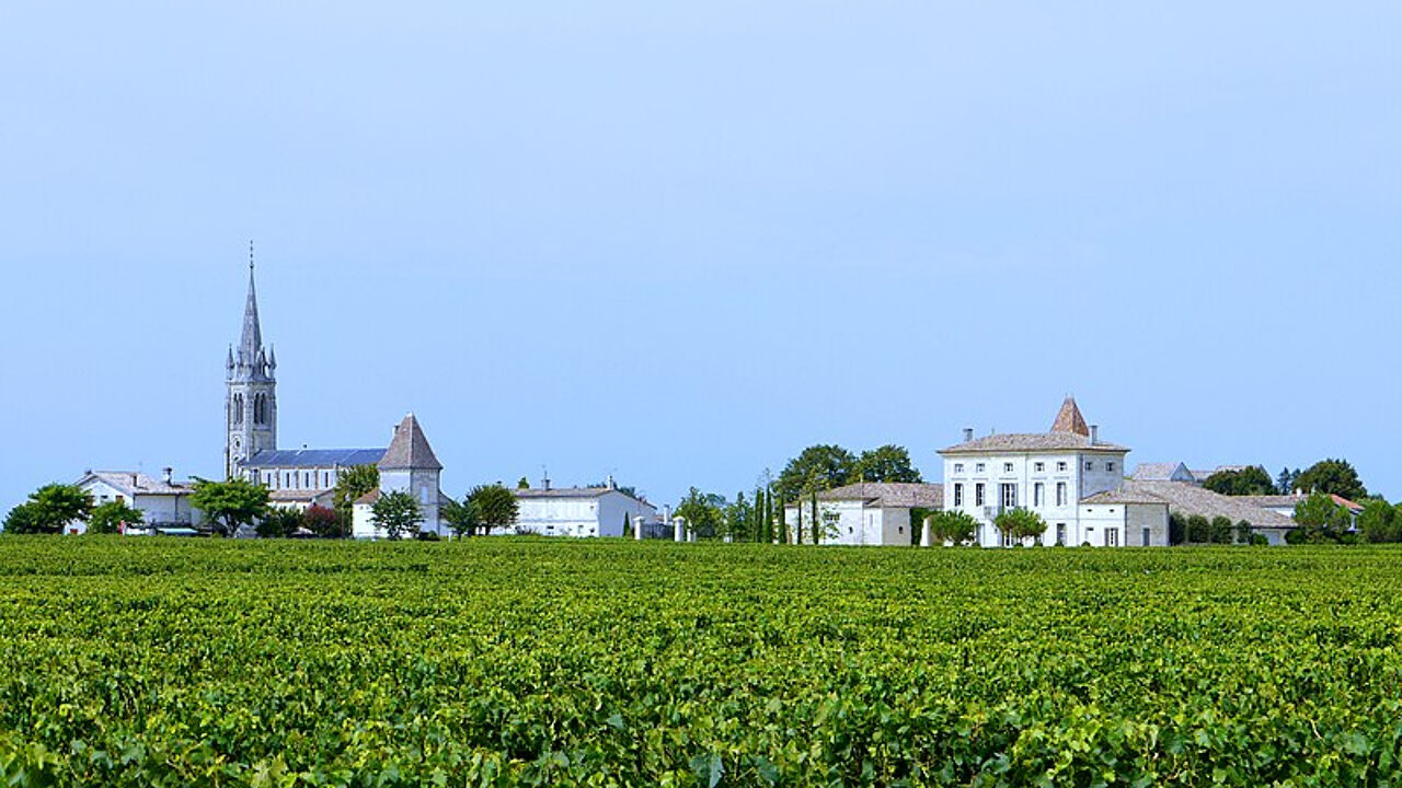 commerce  pièces 279 m2 à vendre à Pomerol (33500)