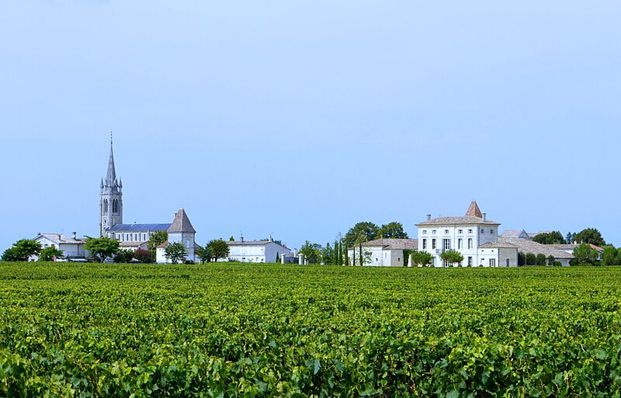 commerce  pièces 279 m2 à vendre à Pomerol (33500)