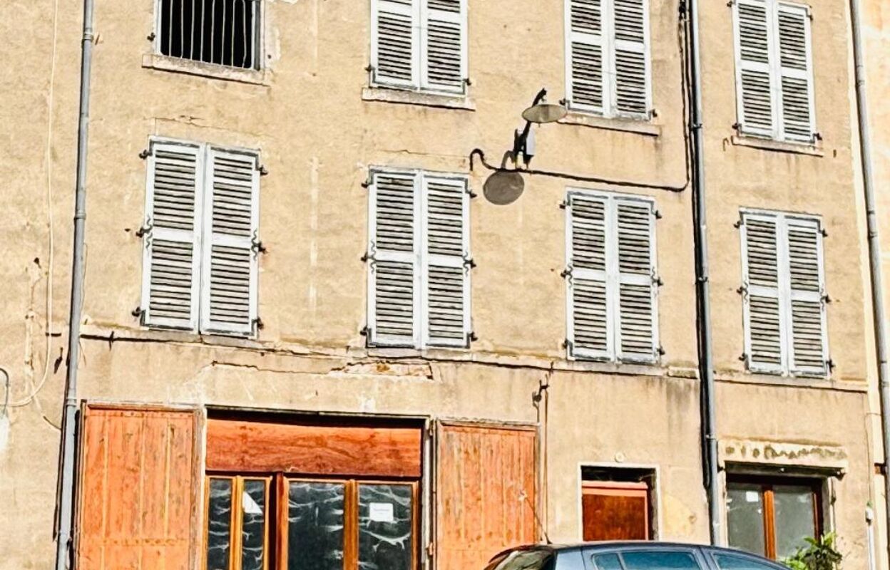 immeuble  pièces 400 m2 à vendre à Saint-Germain-Lembron (63340)