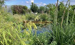 Maison 87 m² en viager Civray (18290)