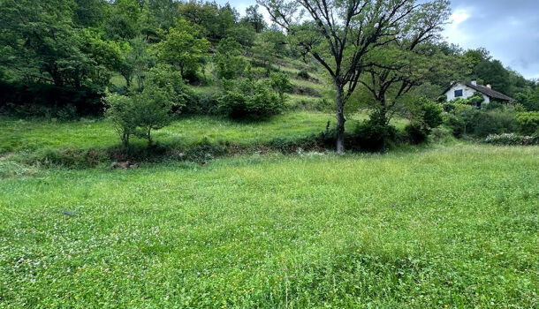 Terrain  à vendre Coubisou 12190