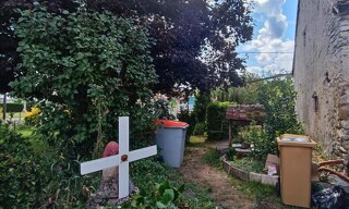 Photo N° 6