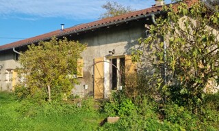 Photo N° 3