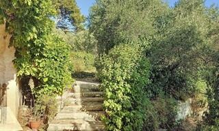 Photo N° 3