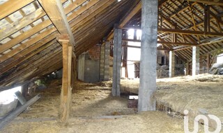 Photo N° 4