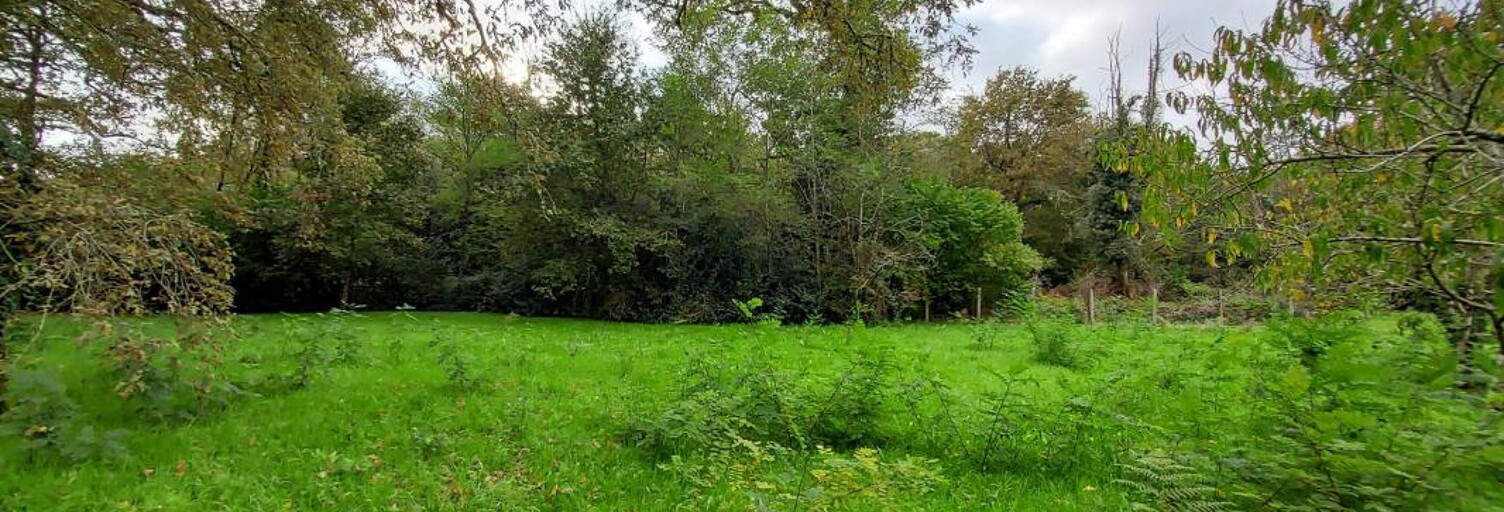 Terrain  1163 m² à vendre à Louchats (33125)