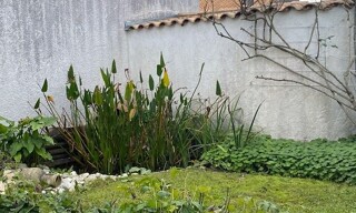 Photo N° 4