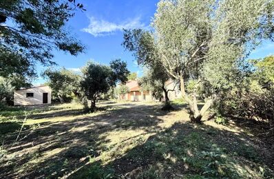 vente maison 549 000 € à proximité de Bages (66670)