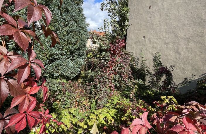 Vente terrain  261 m² Vichy (03200) — photo 5