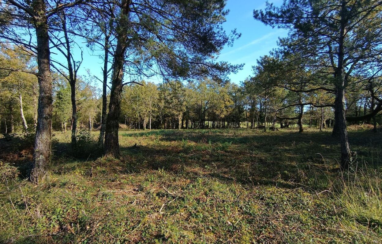 terrain  pièces 2398 m2 à vendre à Le Vigan (46300)