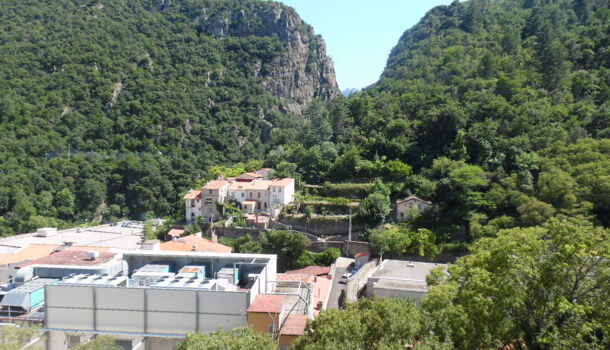 Appartement 1 pièces  à vendre Amélie-les-Bains-Palalda 66110