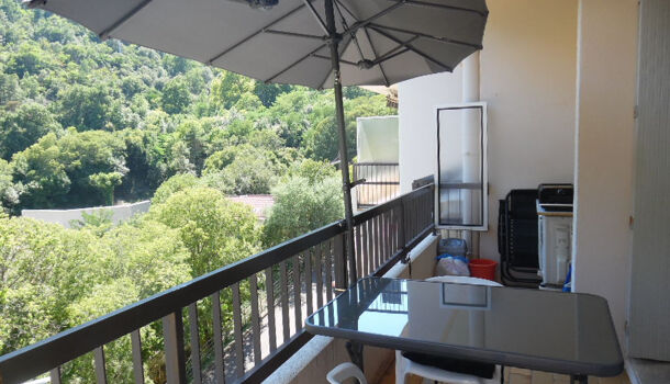 Appartement 1 pièces  à vendre Amélie-les-Bains-Palalda 66110