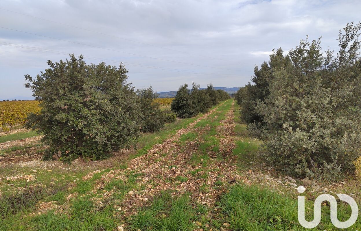 terrain  pièces 5708 m2 à vendre à Sainte-Cécile-les-Vignes (84290)