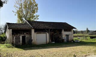 Photo N° 8