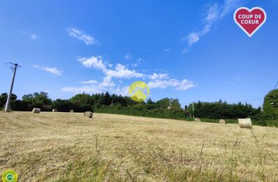 vente maison 24 900 € à proximité de La Guerche-sur-l'Aubois (18150)