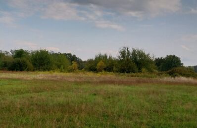 terrain  pièces 450 m2 à vendre à Le Barp (33114)