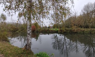 Photo N° 6