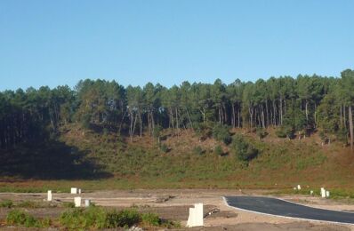 terrain  pièces 702 m2 à vendre à Vielle-Saint-Girons (40560)