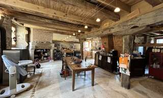 Maison 13 Pièces 450 m² à vendre à Verneuil-sur-Vienne (87430)