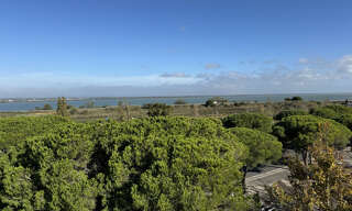 Appartement 1 Pièce 22 m² à vendre à Mauguio (34130)