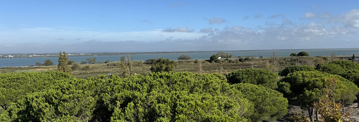 Appartement 1 Pièce 22 m² à vendre à Mauguio (34130)