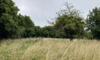 Terrain  1467 m² à vendre à Magnac-Bourg (87380)