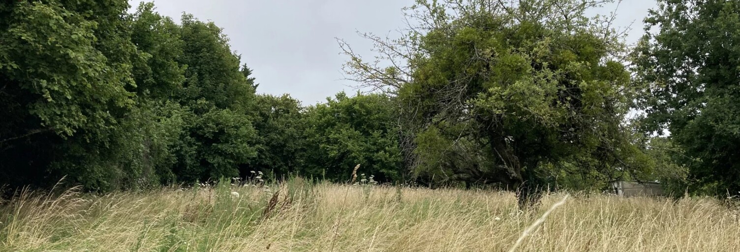 Terrain  1467 m² à vendre à Magnac-Bourg (87380)