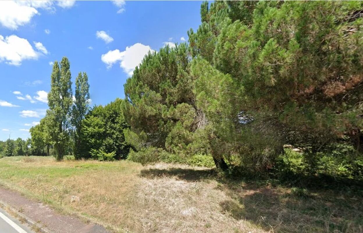 terrain  pièces 13736 m2 à vendre à Périgueux (24000)