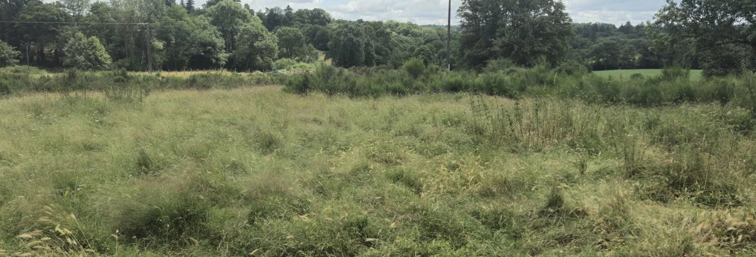 Terrain  20000 m² à vendre à Aureil (87220)