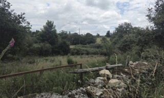 Photo N° 4