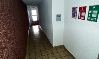 Photo N° 6
