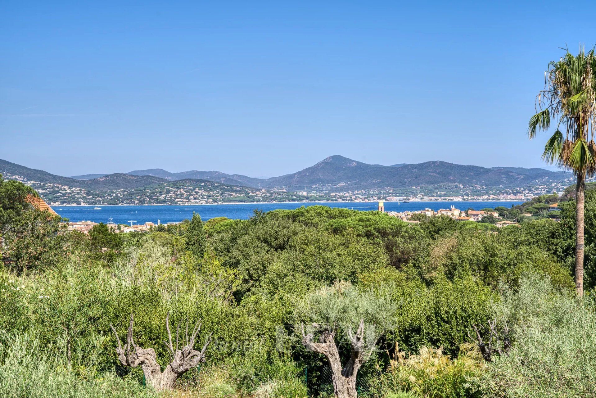 Villa / Maison 14 pièces  à vendre Saint-Tropez 83990