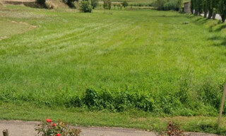 Terrain  1177 m² à vendre à Paulhac (31380)