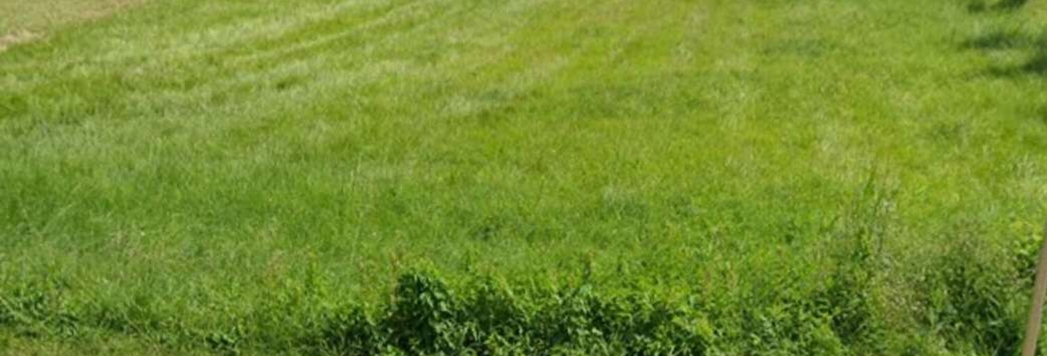 Terrain  1177 m² à vendre à Paulhac (31380)