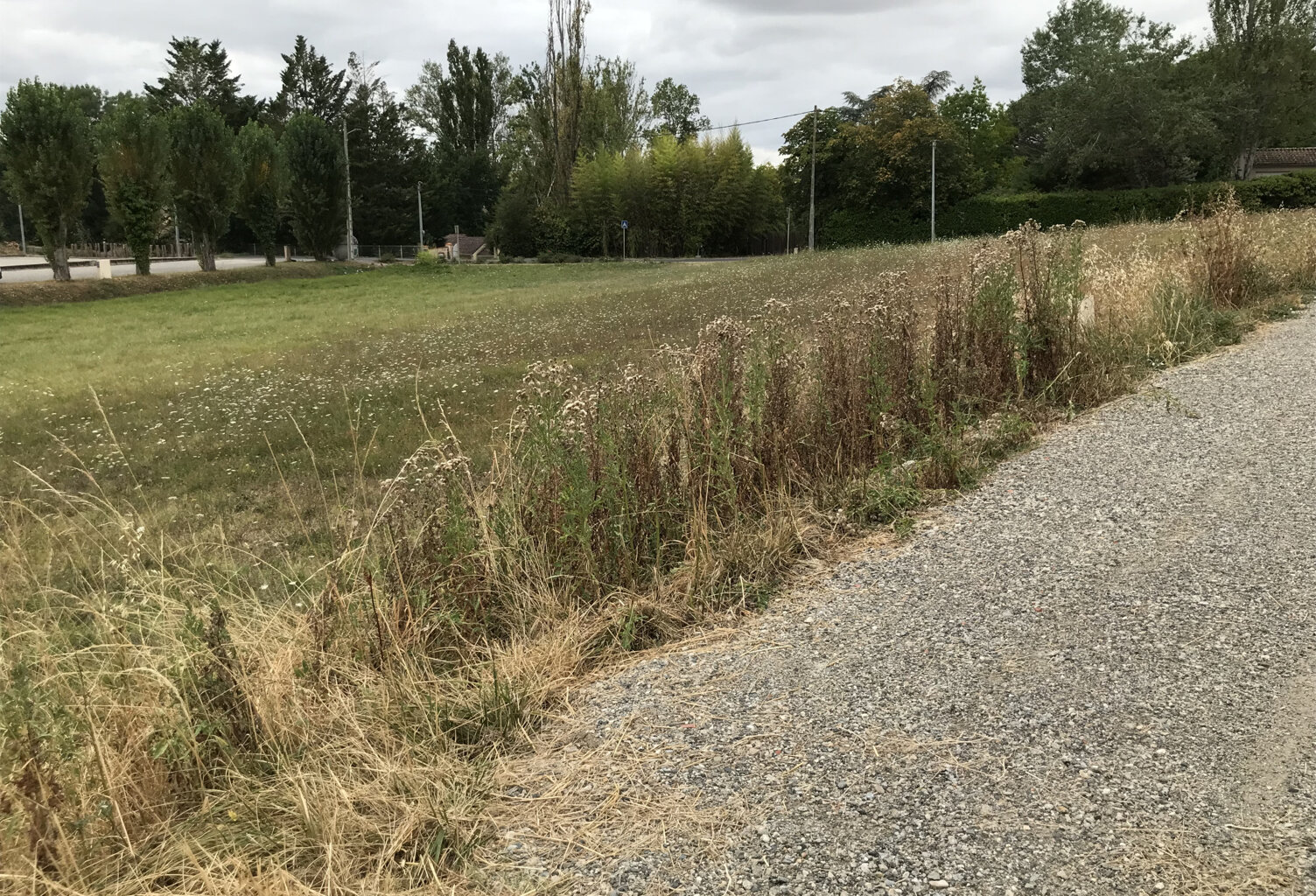 PAULHAC 31380 - Parcelle constructible de 1177 m2 — photo 1
