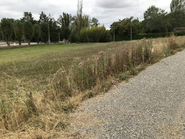 PAULHAC 31380 - Parcelle constructible de 1177 m2 — photo du bien