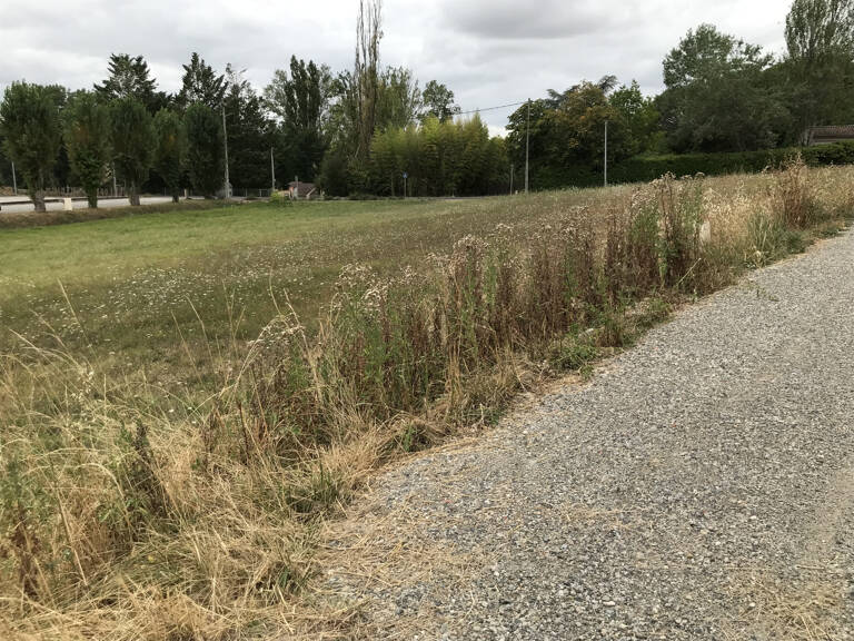 PAULHAC 31380 - Parcelle constructible de 1177 m2 — photo 1