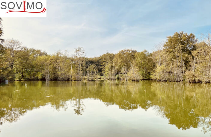 SITE SAUVAGE ET BOISÉ, MAGNIFIQUE ETANG DE PECHE PRIVÉ DE 6H — photo 3