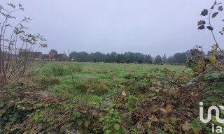 Photo N° 4