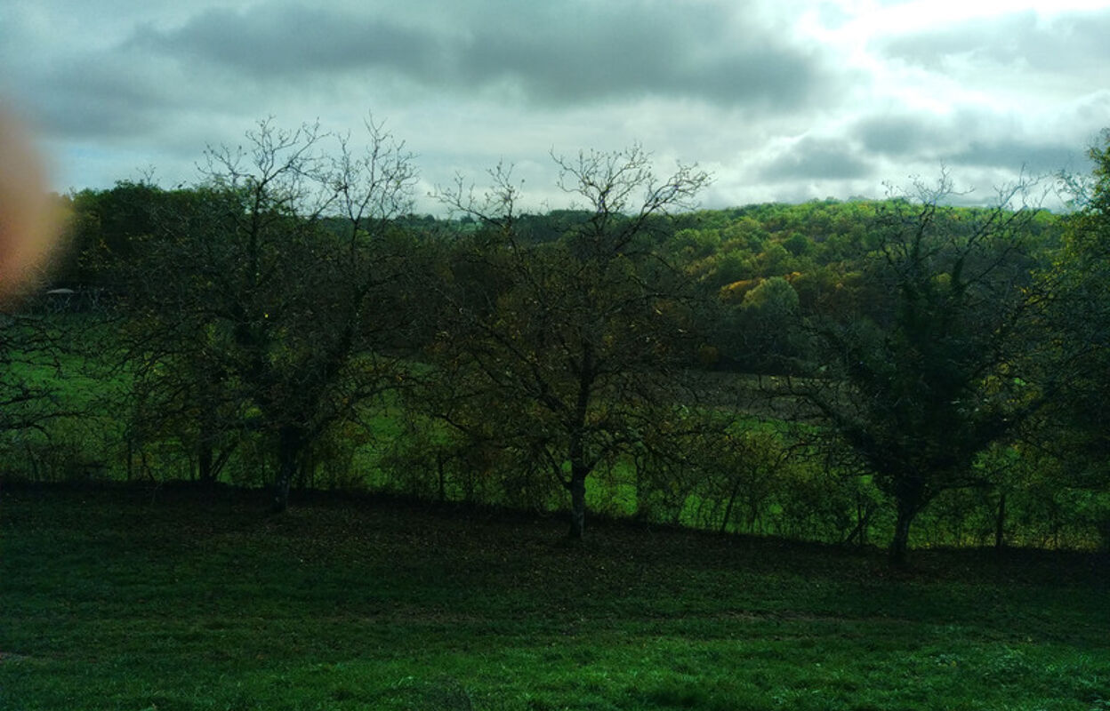 terrain  pièces 93600 m2 à vendre à Villefranche-du-Périgord (24550)