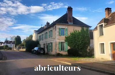 vente maison 165 000 € à proximité de Saint-Maurice-le-Vieil (89110)