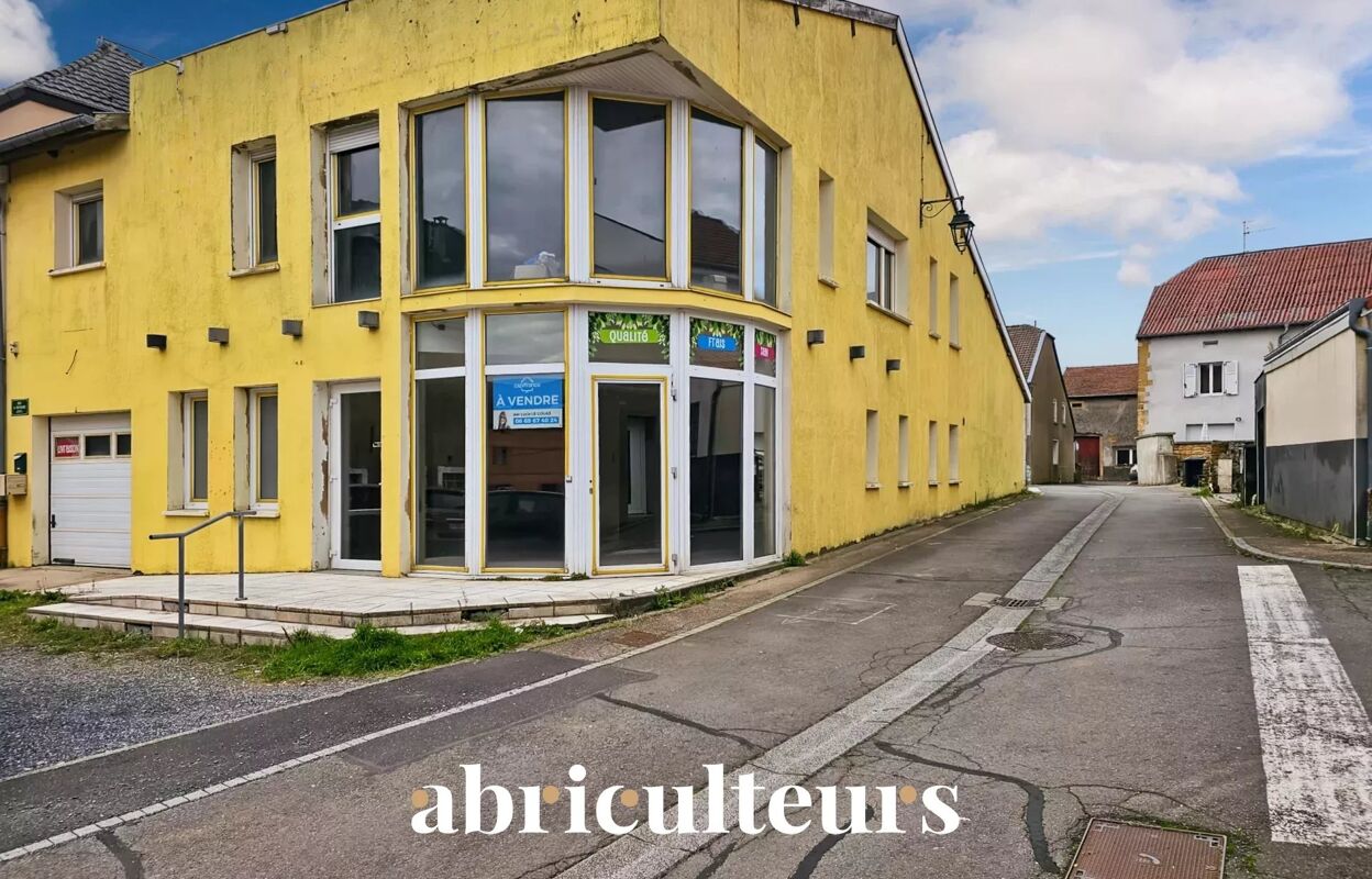 maison 8 pièces 400 m2 à vendre à Cosnes-Et-Romain (54400)