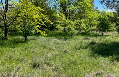 terrain 400 m2 à construire à Le Puy-Sainte-Réparade (13610)