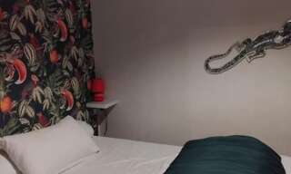 Appartement 1 Pièce 9 m² à louer à Saint-Céré (46400)