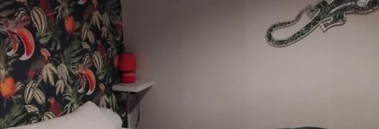 Appartement 1 Pièce 9 m² à louer à Saint-Céré (46400)